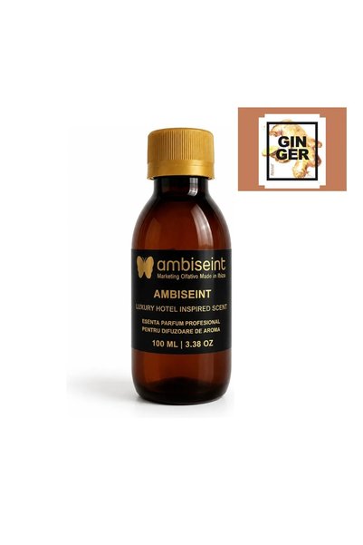 Ambiseint Esenta parfum pentru difuzoare - Ginger — 100 ml