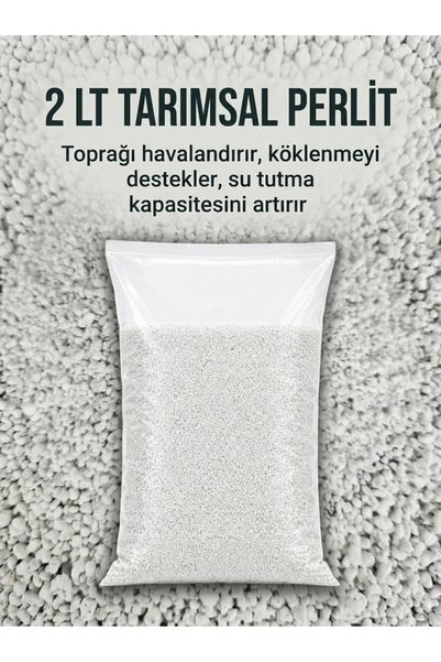 Asenya Perlit 2 Litre Doğal Perlit Yüksek Su Tutma Kapasiteli, Hafif Saksı Toprağı ve Fide Çimlendirme İçin Köklendirme