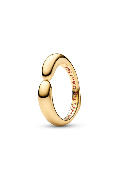 Pandora Disney Winnie the Pooh Sarılma Charm