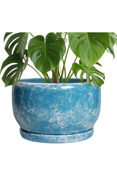 Generic Ceramic Planters - 10 Inch Plant Pot Indoor with Drainage Hole and Sa...