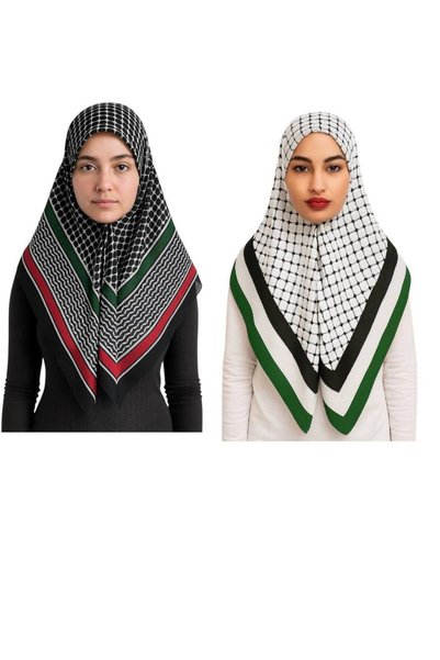 ALDAIYR 2 قطعة علم فلسطين 100/100 سانتا