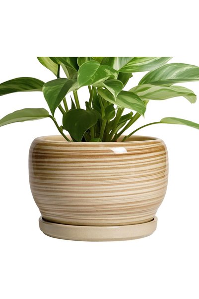 Generic Ceramic Planter- 8 Inch Plant Pot Indoor Outdoor, Round Planter with ...