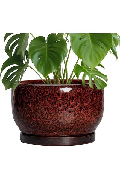 Generic Ceramic Flower Pots - 10 Inch Plant Pot Indoor, Ceramic Planter with ...
