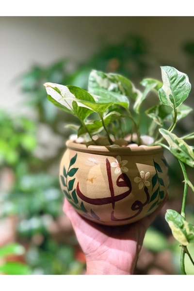 Malak Garden قطعة فنية تجمع بين رقة البوتس إنجوي بأوراقه المبرقشة بدرجات الأخ...