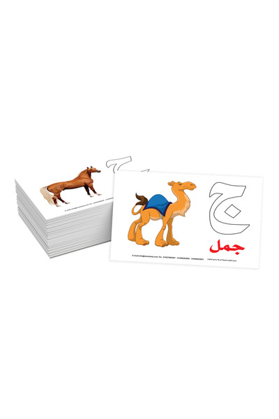 Other Cards - Learning Arabic Letters