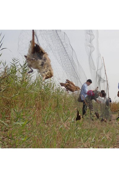 Choice YZ283-3x15m Anti Bird Catcher Netting Pond Net Fishing Net Traps Crops...