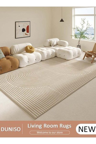Generic Brand DUNISO Non Slip Large Area Rug, Simple Washable Living Room Rug...