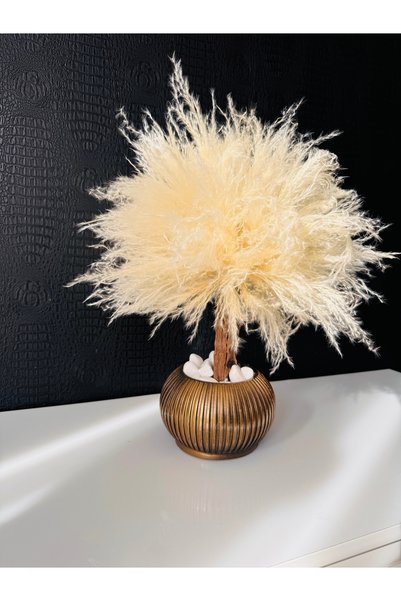 Raheni Copac decorativ stabilizat cadou cutie decor ghiveci Riflaj piatră lem...