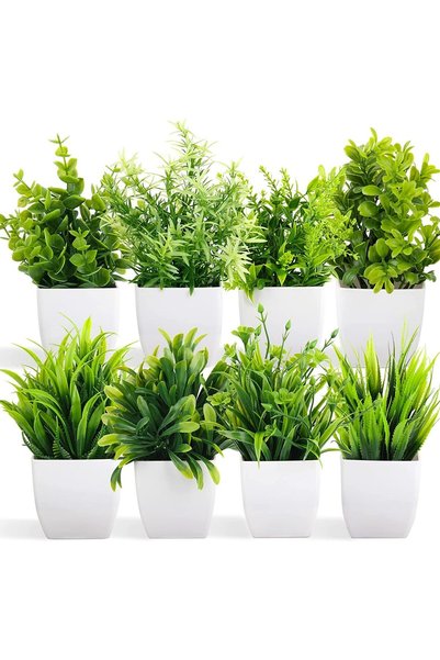 Generic نباتات اصطناعية في أصص، 8 قطع من نباتات الكافور البلاستيكية الصغيرة ل...
