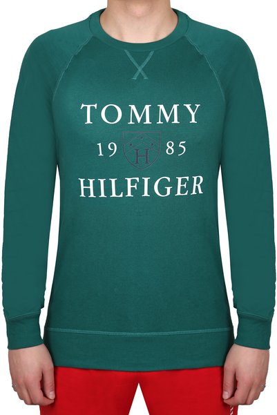 Tommy Hilfiger Men's Sweatshirt 09t4201-301
