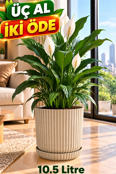 TEMMUZ HOME 10,5 Litre Lotus Tabaklı Dekoratif Çiçek Saksısı – Modern Çizgili Tasarım, Drenaj Delikli, İç ve Dış Mekân Uyumlu