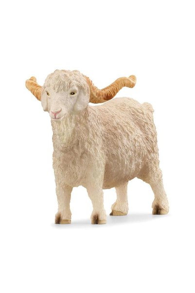 Genel Markalar Angora Keçisi 13970