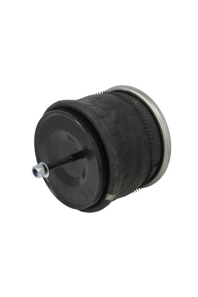 DT Spare Parts Perna de Aer din Fata/Fata Stanga cu Baza Iveco Stralis Ii S-w...