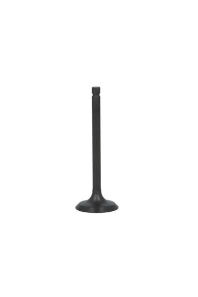 PARSUN Supapa Admisie Marine, Nautic F20-05030001