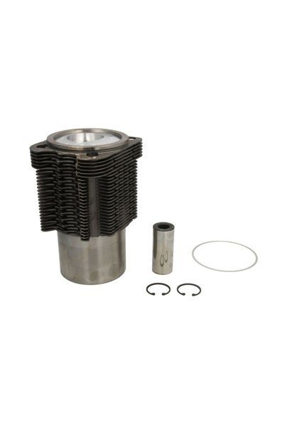Kolbenschmidt Set Piston si Camasa 100mm Std Fendt 2 D Farmer, 200 K Farmer, ...