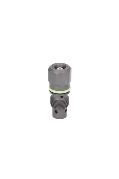 Bosch Ventil Inst. de Injectie Dodge Ram 2500 6.7 DODGE RAM F00N202450