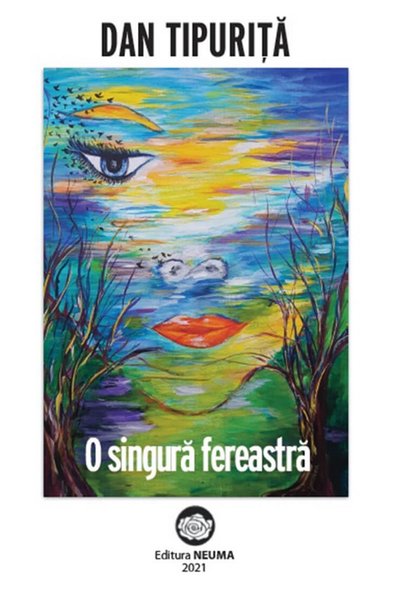NEUMA O singura fereastra - Dan Tipurita