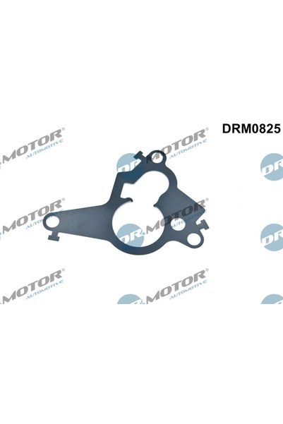 DR.MOTOR AUTOMOTIVE Garnitura, Piston Pompa Vacuum Fiat Talento Mercedes-Benz...