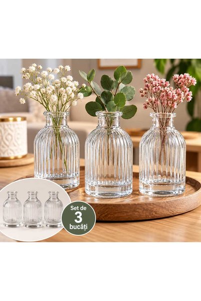 Generic Brand Set 3 Vaze Decorative din Sticlă Transparentă, Model Striat, În...