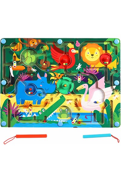 OEM Joc Montessori de Sortare Culori, Creion Magnetic, Tip Labirint Ilustrat,...