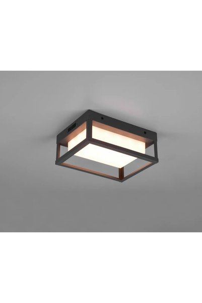 Trio Απλίκα WITHAM LED SMD 10,5 W 1100 lm 2300/3000/4000 K IP54 ανθρακί
