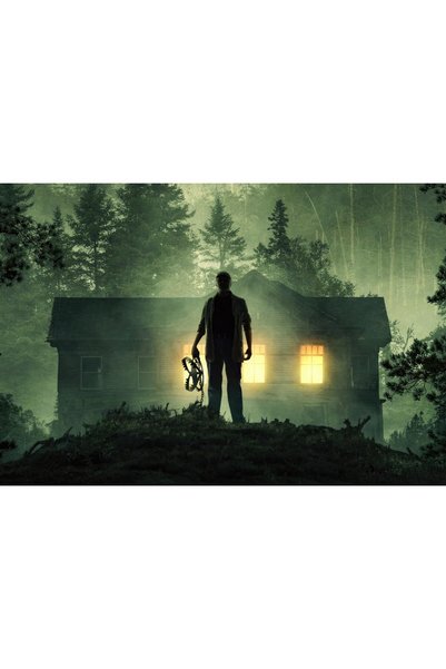 OEM Αφίσα Stranger In The Woods 2024, 61x90 εκ., poster13984