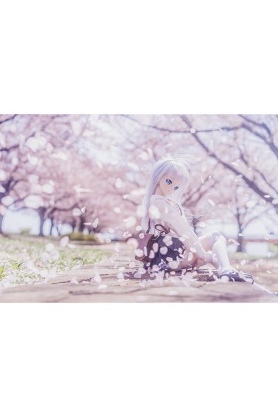 OEM Poster Blonde Doll Sitting Sakura 4k, 61x90 cm, poster14184