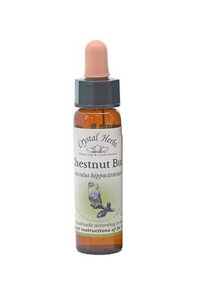 Crystal Herbs Μπαχ Φλοράλ Μπαχ Κάστανο 10ml