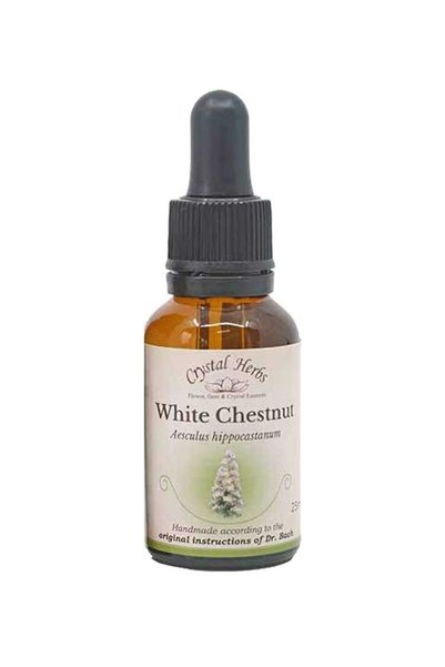 Crystal Herbs Λευκή Κάστανος Άνθος Μπαχ 25ml