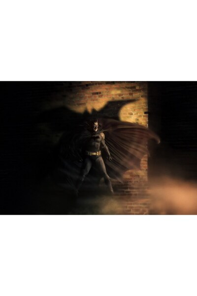 OEM Poster Batman Silent Knight Protector, 61x90 cm, poster17117