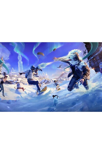 OEM Poster Pubg Grab A Snowboard, 61x90 cm, poster17968