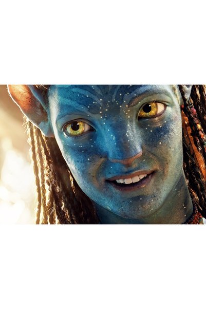 OEM Poster Avatar The Way Of Water 2022 10k, 61x90 cm, poster20030