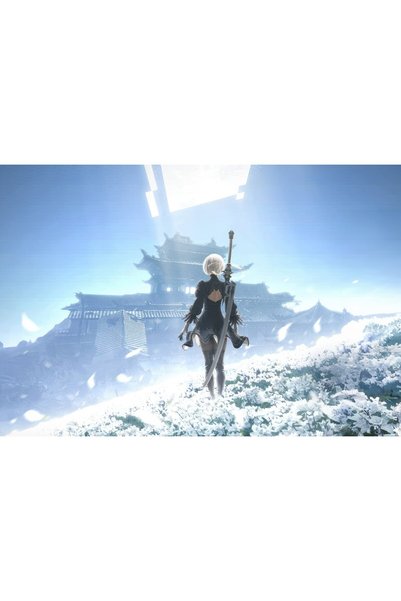 OEM Poster Naraka Bladepoint X Nier, 61x90 cm, poster20257