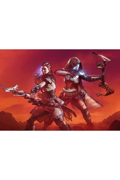 OEM Αφίσα του παιχνιδιού Aloy Horizon Zero Dawn, 61x90 εκ., poster21193