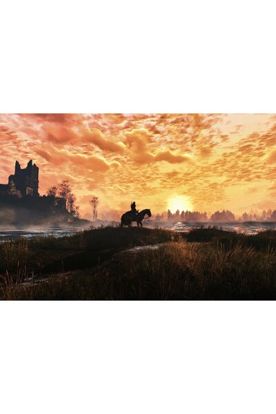 OEM Αφίσα The Witcher 3 Next Gen, 61x90 εκ., poster23216