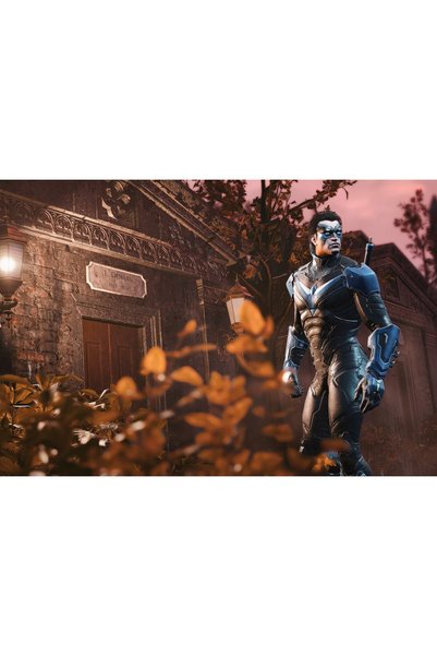 OEM Poster Gotham Knights Night Wing, 61x90 cm, poster23268