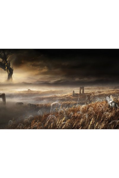 OEM Постер Elden Ring 2023, 61x90 см, poster22911