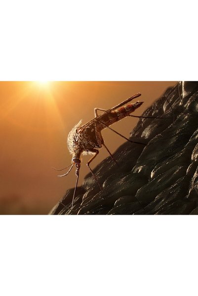 OEM Poster Jurassic World Dominion 4k, 61x90 cm, poster23952