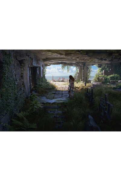 OEM Poster Horizon Forbidden West Artă Conceptuală 5k, 61x90 cm, poster24320