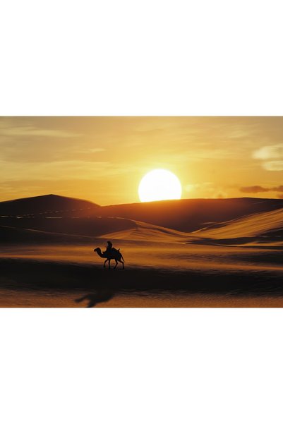 OEM Poster Assassins Creed Origins 2022 5k, 61x90 cm, poster23999