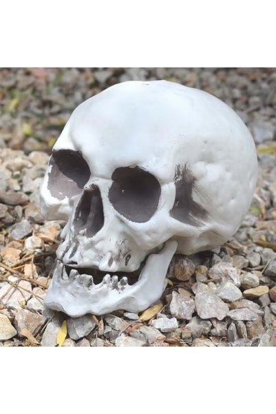TAPIT Festival Decoration Skull Skeleton Skull Head Realistic Looking Fake Sk...