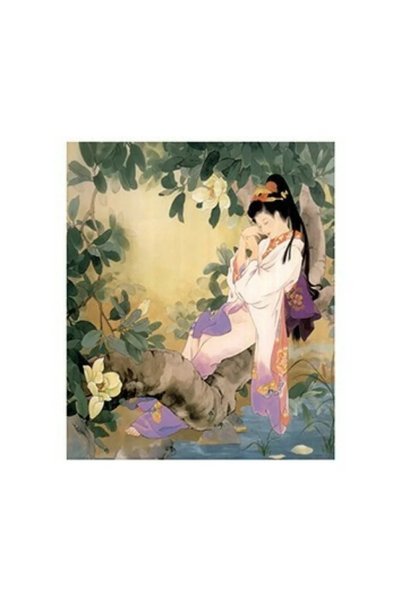Cadence Boya ورق نقل جاهز للطباعة CD971 مقاس 25x35