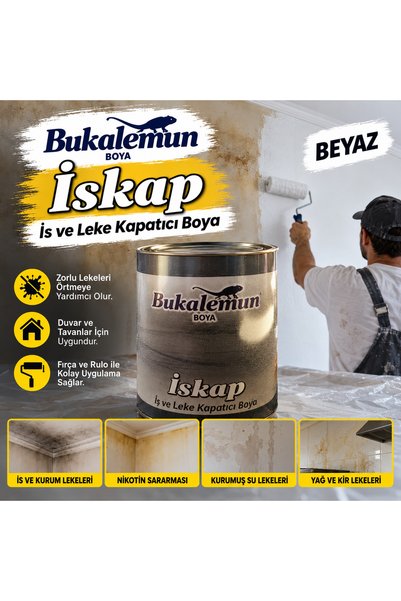 Bukalemun İskap İs ve Leke Kapatıcı Boya