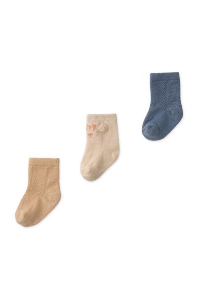 Gingersnaps Boys' Baby Socks