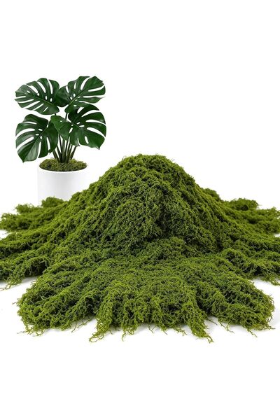 DoubleCare ٤٠٠ غرام من الطحالب الصناعية Green Moss للنباتات الداخلية، طحالب ا...