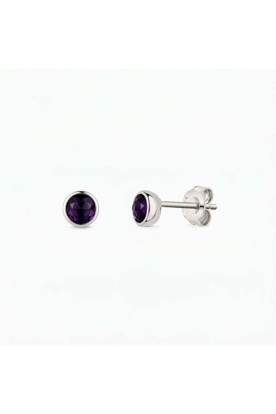 Indira Jewelry Ασημένια δαχτυλίδια με πέτρα γενεθλίων Φεβρουαρίου - Αμέθυστος