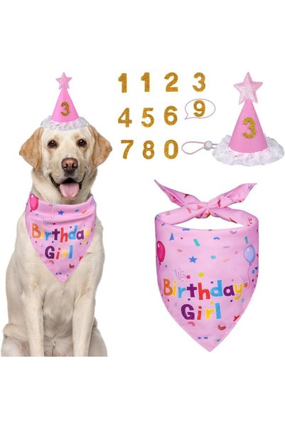 Generic Dog Birthday Party Supplies(Pink)