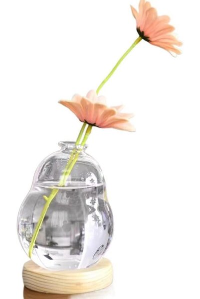 Generic محطة تكاثر النباتات، وعاء زجاجي للنباتات مع حامل خشبي قابل للتعديل، م...
