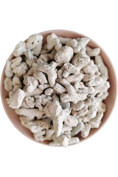 Generic أحجار المرجان البحرية متوسطة وكبيرة الحجم للمرشحات البيولوجية - صخور ...