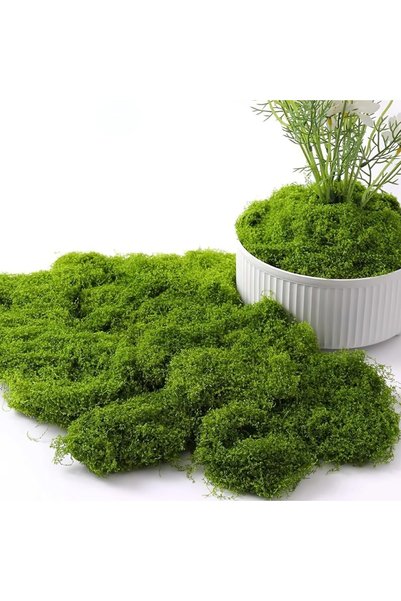 Generic 100g Artificial Moss Fake Moss,Green Faux Mosses, Artificial Moss for...